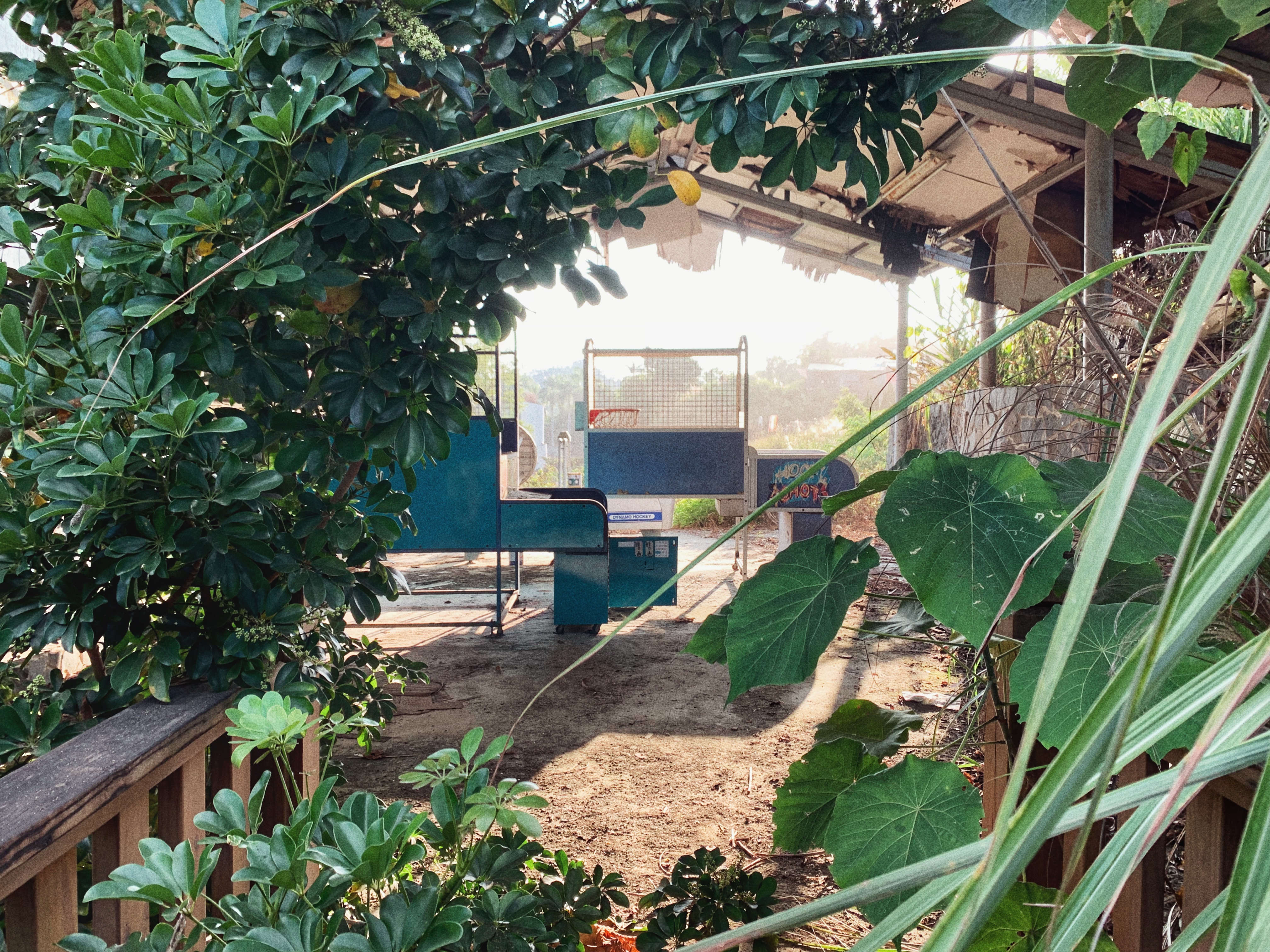 Basketball arcade games surrounded by overgrown shrubs in Encore Garden Taichung