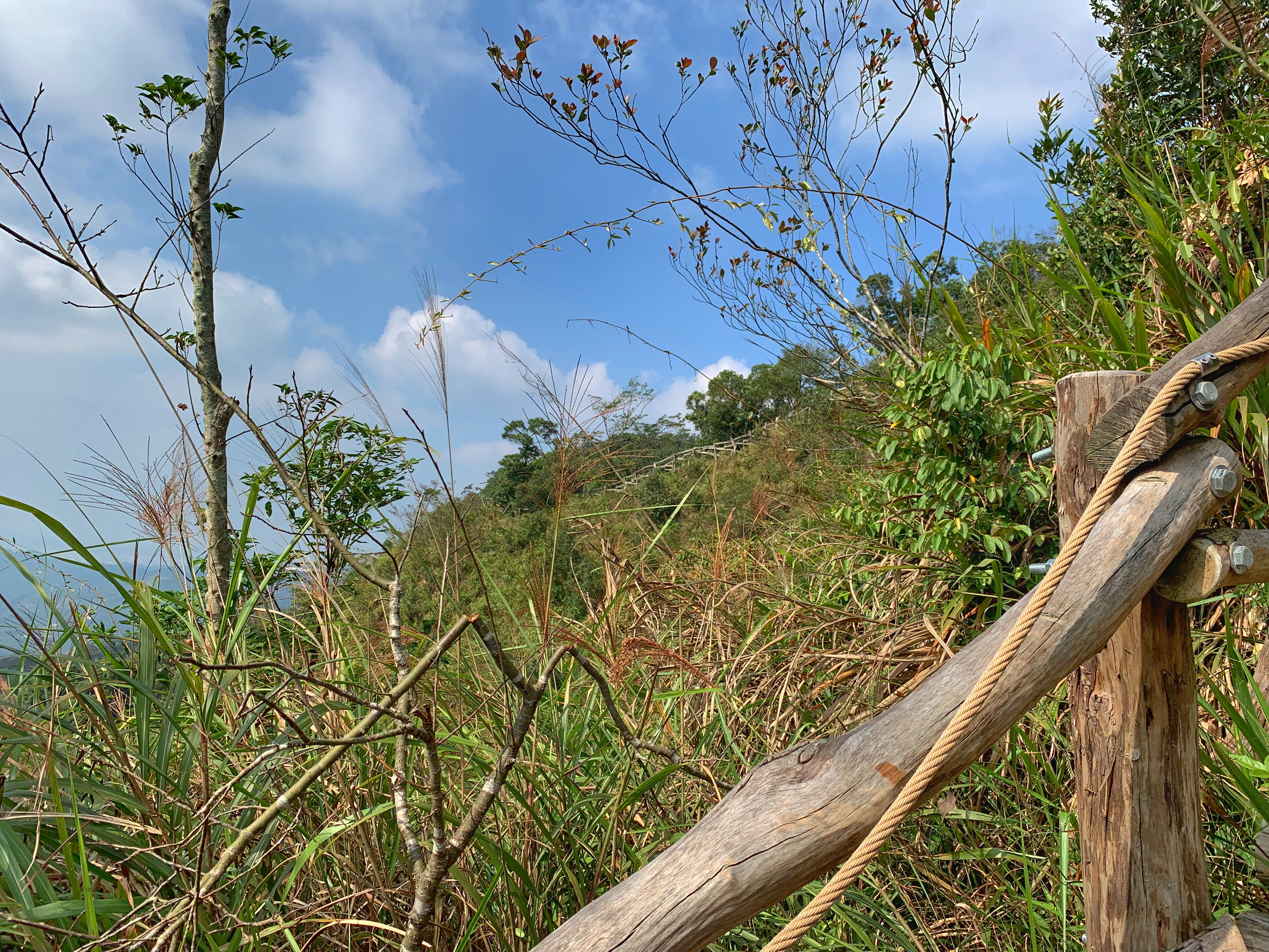 Dacheng trail, rope and logs on elevated mountain