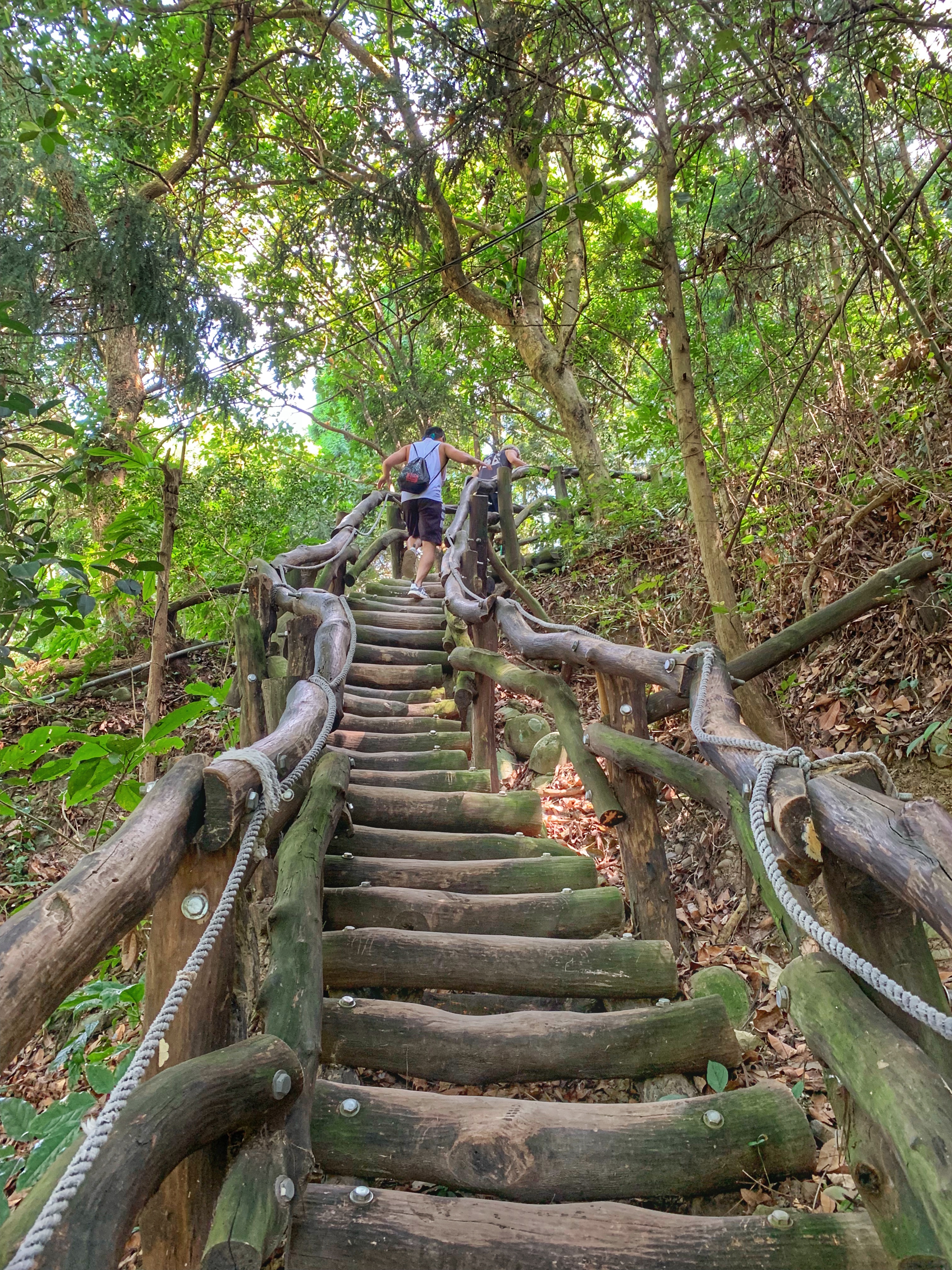 Man ascends a wooden trail made out of logs