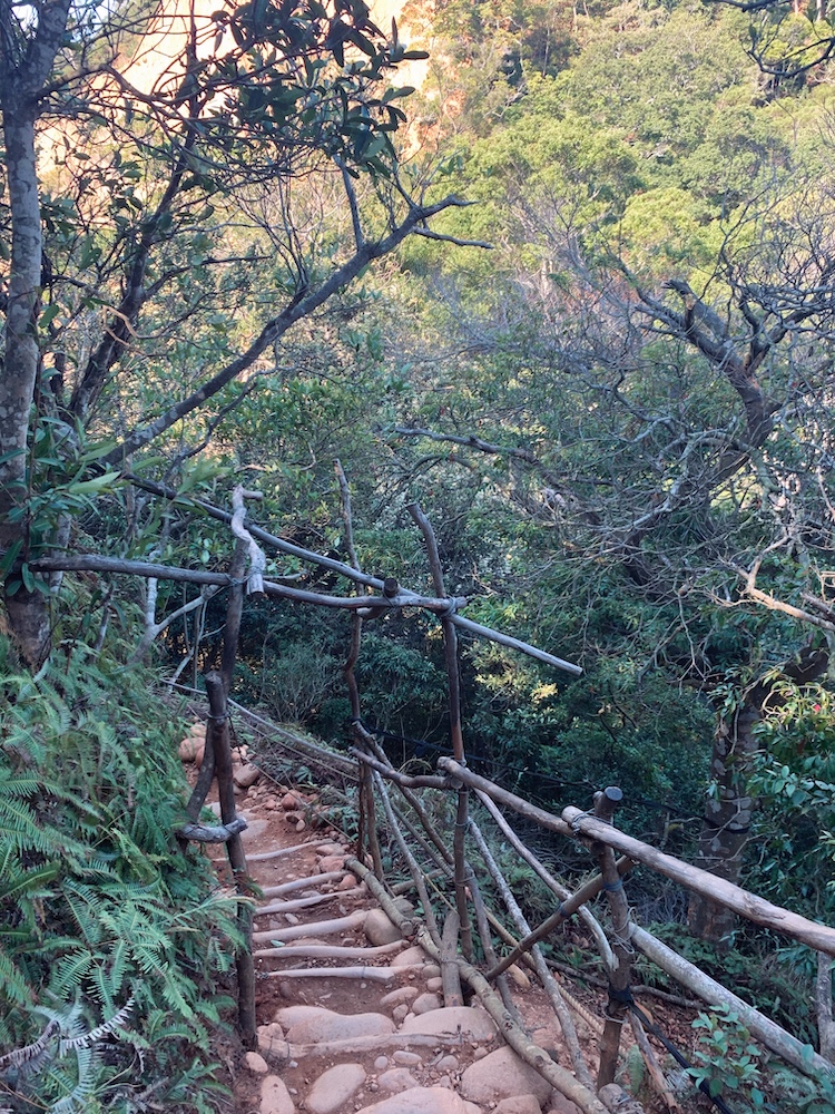 A footpath through a forest built with sticks and stones.