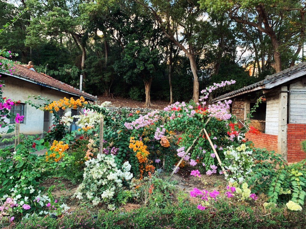 A beautiful flower garden with different colored flowers.