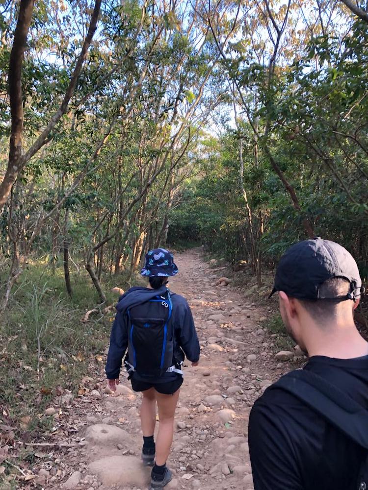 Hikers walking through an open path.