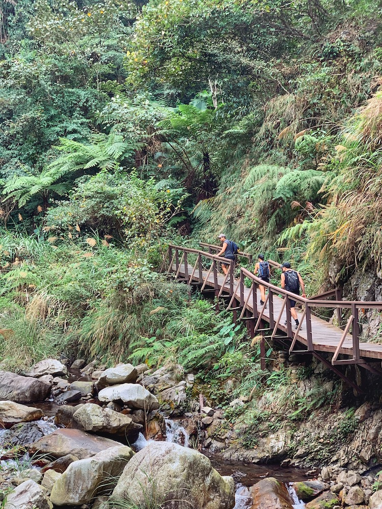 Wooden bridge at Butterfly Hike in Taichung Taiwan