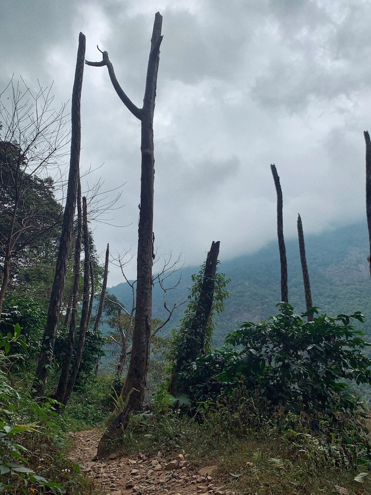 Hiking Hudiegu Waterfalls in Taichung Taiwan