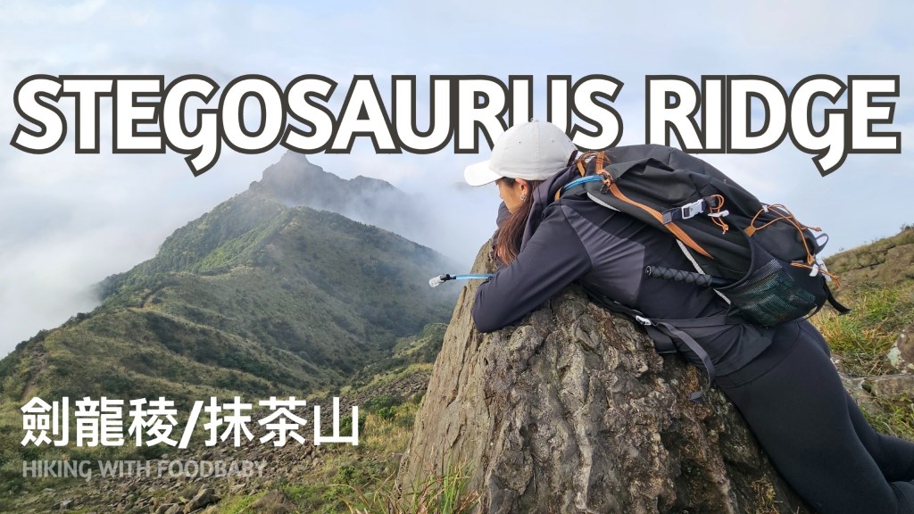 Stegosaurus Ridge (劍龍稜) | Taiwan Day&nbsp;Hike